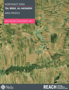 REACH_SYR_NES_Tal Brak Area-Based Assessment Profile_2021
