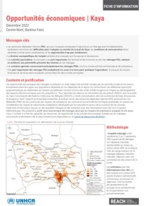 REACH BFA - Kaya | Opportunités économiques fiche d'information
