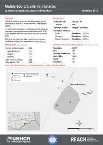 NER_Factsheet_Displacement Site Malam Boulori_Novembre2016