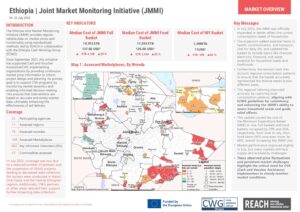 REACH Ethiopia - Joint Market Monitoring Initiative (JMMI) FACTSHEET - July 2025