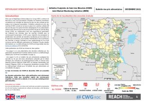 REACH RDC ICSM Décembre Factsheet