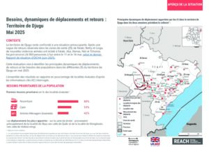 REACH RDC - HSM - Besoins, dynamiques de déplacement et retours - Djugu, Ituri, Mai 2025