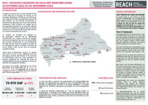 REACH_RCA_Fiche_informative_Suivi_des_marchés_Octobre_2022