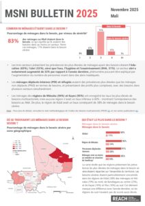 MSNA 2025 – Mali MSNI Bulletin