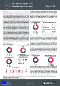 NGA_Factsheet_New Arrivals Assessment_Bama town_October 2018