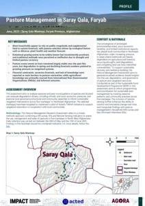 AGORA Afghanistan Pasture Management Saray Qala, Profile (26-05-2025 - 13-06-2025)