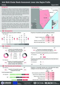 SOM_Factsheet_JMCNA_Lower Juba Region_August 2018