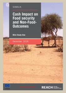 SOM_Report_Somali Cash Consortium-Mini-Study One_December 2018