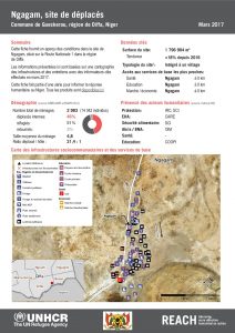 NER_HCR_Factsheet_Profil Site de Déplacés_Commune de Gueskerou_Ngagam_Mars 2017