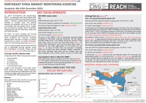 REACH_SYR_Northeast_Situation Overview_Market Monitoring_December 2021