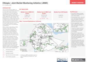 REACH Ethiopia Joint Market Monitoring Initiative (2024-02-05 - 2024-02-13)