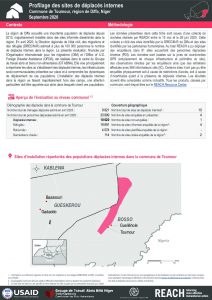 Profilage des sites de déplacés internes dans la commune de Toumour, région de Diffa, Niger - Septembre 2020