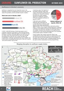 REACH Ukraine Sunflower Oil Production Factsheet (October 2022)