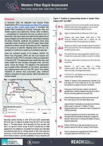 Western Pibor Rapid Assessment Brief - February 2021
