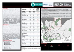 Situation Overview, Joint Market Monitoring Initiative, Yemen - July 2020