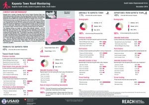 SSD_FACTSHEET_Kapoeta Town Road Monitoring_December 2018