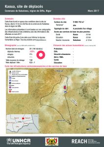 NER_HCR_Factsheet_Profil Site de Déplacés_Commune de Kabalewa_Kaoua_Mars 2017