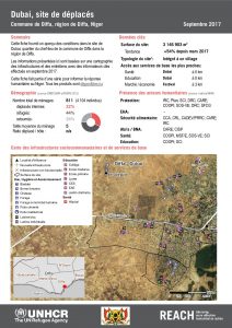 NER_Factsheet_Profil Site de Déplacés de Doubai_Septembre 2017
