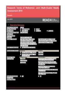 REACH_SOM_ToR_JMCNA_2018