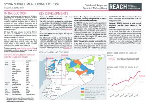 syr_situation_overview_market_monitoring_exercise_ne_may_2019