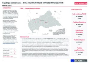 CAR_JMMI_Factsheet_Février_2025