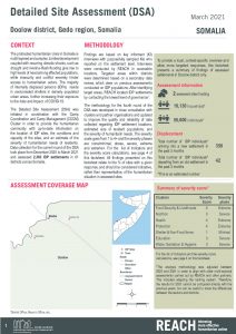REACH SOM Factsheet DSA Doolow March 2021