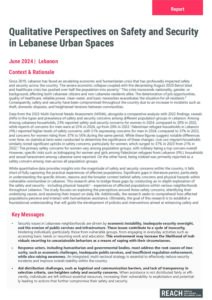 MSNA2023 - Perspectives on Safety and Security in Lebanese Urban Spaces