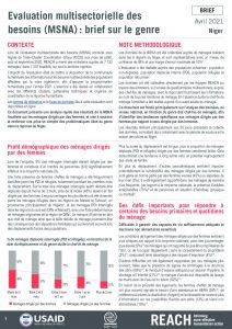 Evaluation multisectorielle des besoins au Niger, brief sur le genre - Avril 2021