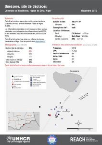 NER_Factsheet_Displacement Site Guessere_Novembre2016