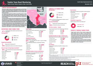 SSD_Factsheet_Yambio Town Road Monitoring_November 2018