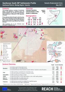 SOM_Factsheet_IDPSettlementProfile_GaalkacyoSouth_May2017