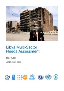 LBY_Report_Multi-Sector Needs Assessment_August 2015