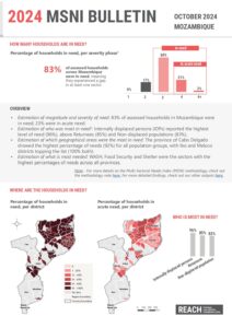 REACH Mozambique MSNI Bulletin, Nov. 2024