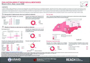 SNFI Assessment in Diffa, General Factsheet, Niger – January 2020