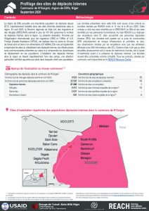 Profilage des sites de déplacés internes dans la commune de N'Guigmi, région de Diffa, Niger - Septembre 2020