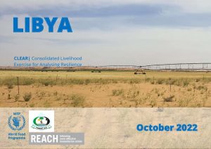 REACH Libya CLEAR Assessment October 2022