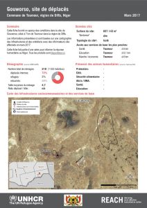 NER_HCR_Factsheet_Profil Site de Déplacés_Commune de Toumour_Gouworso_Mars 2017.pdf