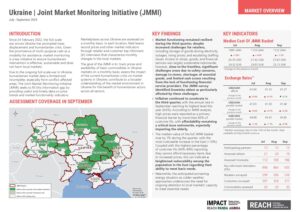REACH_UKR_JMMI_Factsheet_Round_28_29_30_Quarter3_2024