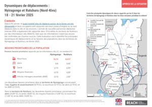 REACH RDC - Dynamiques de déplacements - Territoires de Nyiragongo et Rutshuru, Nord-Kivu - 18-21 février 2025