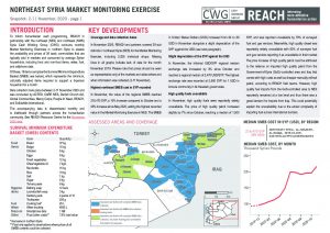 Northeast Syria Market Monitoring Situation Overview, November 2020