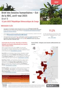 REACH RDC Brief des besoins humanitaires - Provinces de l'Est, avril-mai 2025