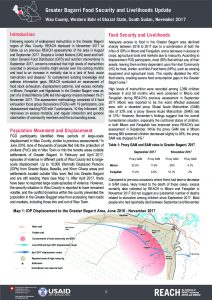 SSD_Profile_Rapid Assessment Bagarri_November 2017