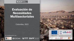 REACH COL PPT MSNA Resultados Agregados GIFMM 2023