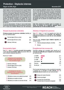 NER_Factsheet_Protection_PDI_Novembre 2017