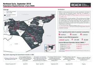 REACH_SYR_Factsheet_HSOS Regional Factsheet_NES_September 2018