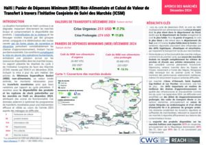 REACH MEB Non-Alimentaire et Soutien au Calcul de la Valeur de Transfert (Cycle 2 Decembre 2024)