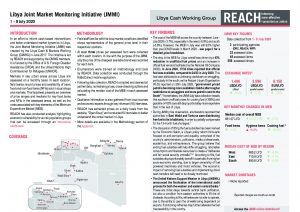 Libya Joint Market Monitoring Initiative Situation Overview - July 2020