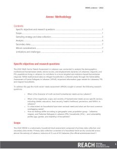 REACH MSNA 2022, Methodological annexes and MSNI
