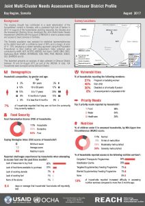 SOM_Factsheet_JMCNA Diinsoor District_August 2017