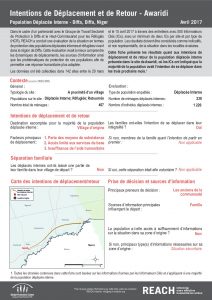 NER_Factsheet_Evaluation Protection, Intentions de Déplacement et de Retour, Awaridi, Déplacés Internes_Avril 2017